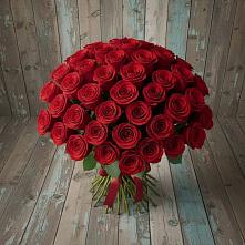 Букет 55 Красных роз Фридом #REPLACE_PRED# Арсеньеве