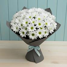 Букет цветов из:  Хризантемы в Арсеньеве