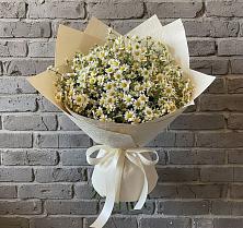 Букет цветов из:  Ромашки в Арсеньеве