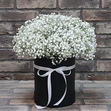 Цветочная композиция из Гипсофила в шляпной коробке в Арсеньеве