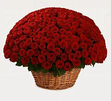 Премиум букет из: Розы в Арсеньеве